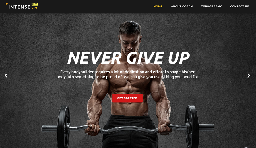 Free Sport Site Website Template