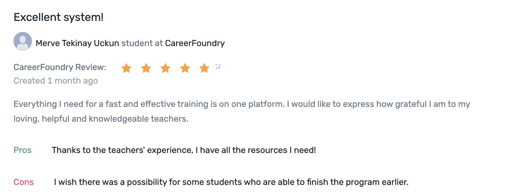 CareerFoundry (UX Design Program) review